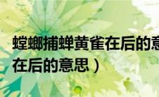 螳螂捕蝉黄雀在后的意思故事（螳螂捕蝉黄雀在后的意思）