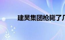 建昊集团枪毙了几位（建昊集团）