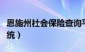 恩施州社会保险查询平台（恩施州社保查询系统）