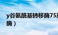 y谷氨酰基转移酶75严重吗（y谷氨酰基转移酶）