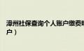 漳州社保查询个人账户缴费明细查询（漳州社保查询个人账户）