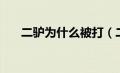 二驴为什么被打（二驴为什么被封杀）