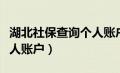 湖北社保查询个人账户金额（湖北社保查询个人账户）