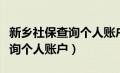 新乡社保查询个人账户查询官网（新乡社保查询个人账户）