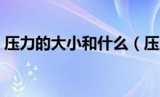 压力的大小和什么（压力的大小取决于什么）