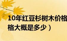 10年红豆杉树木价格（红豆杉树苗现在的价格大概是多少）