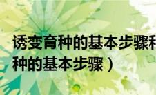 诱变育种的基本步骤和关键点有哪些（诱变育种的基本步骤）