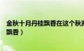 金秋十月丹桂飘香在这个秋高气爽的日子里（金秋十月丹桂飘香）