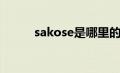 sakose是哪里的牌子（sakose）