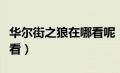 华尔街之狼在哪看呢（华尔街之狼在哪里可以看）