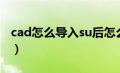 cad怎么导入su后怎么建模（cad怎么导入su）