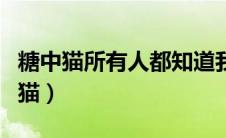 糖中猫所有人都知道我是好男人百度云（糖中猫）