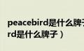 peacebird是什么牌子的衣服贵吗（peacebird是什么牌子）