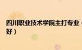 四川职业技术学院主打专业（四川职业技术学校哪个专业最好）