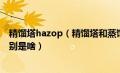 精馏塔hazop（精馏塔和蒸馏塔的区别精馏塔和蒸馏塔的区别是啥）