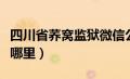 四川省荞窝监狱微信公众号（四川荞窝监狱在哪里）