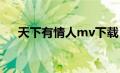 天下有情人mv下载（天下有情人下载）