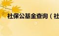 社保公基金查询（社保公积金查询官网）