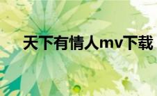 天下有情人mv下载（天下有情人下载）