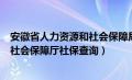 安徽省人力资源和社会保障局官网查询（安徽省人力资源和社会保障厅社保查询）