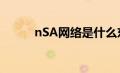 nSA网络是什么东西（nsa网络）