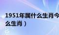 1951年属什么生肖今年多大了（1951年属什么生肖）