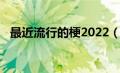 最近流行的梗2022（最近流行的梗2020）