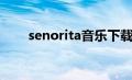 senorita音乐下载（senorita下载）