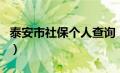 泰安市社保个人查询（泰安社保查询个人账户）