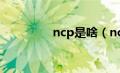 ncp是啥（ncp什么意思）