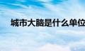 城市大脑是什么单位（城市大脑是什么）