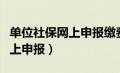 单位社保网上申报缴费流程（单位社保如何网上申报）