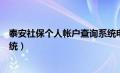 泰安社保个人帐户查询系统电话（泰安社保个人帐户查询系统）