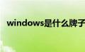 windows是什么牌子（windows是什么）