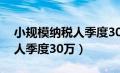 小规模纳税人季度30万元免税（小规模纳税人季度30万）