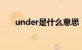 under是什么意思（ued是什么意思）