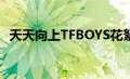 天天向上TFBOYS花絮（天天向上tfboys）