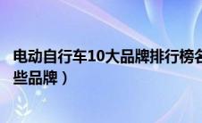 电动自行车10大品牌排行榜名单（电动自行车十大排名是哪些品牌）