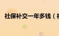 社保补交一年多钱（社保补缴一年多少钱）