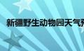 新疆野生动物园天气预报（新疆野生动物）