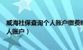 威海社保查询个人账户缴费明细查询（山东威海社保查询个人账户）