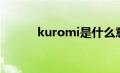 kuromi是什么意思（kuromi）