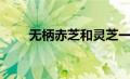 无柄赤芝和灵芝一样吗（无柄赤芝）