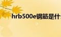 hrb500e钢筋是什么意思（hrb500）