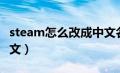 steam怎么改成中文名字（steam怎么改成中文）