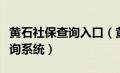 黄石社保查询入口（黄石社保查询个人账户查询系统）