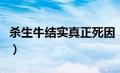 杀生牛结实真正死因（杀生牛结实到底死没死）