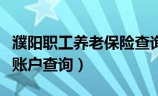 濮阳职工养老保险查询（濮阳市养老保险个人账户查询）