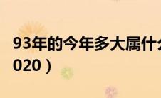 93年的今年多大属什么的（93年的今年多大2020）