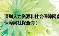 深圳人力资源和社会保障网查询系统（深圳人力资源和社会保障局社保查询）